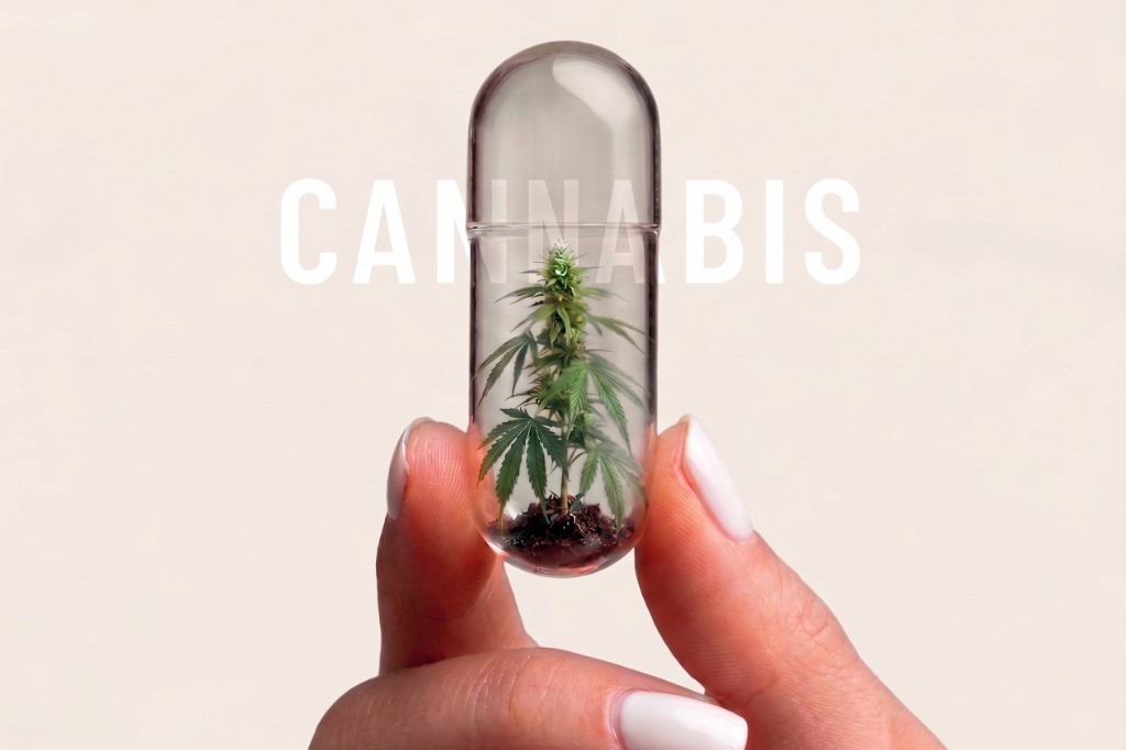 Fitocanabinoides e compostos da cannabis medicinal: CBD, THC, CBG e CBN